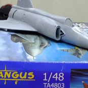 WIP - Tarangus 1/48 Saab Viggen