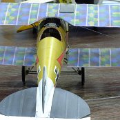 Wingnut Wings 1/32 Albatross D.V by Brett Sharman